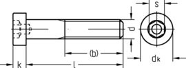 Dresselhaus Zylinderschrauben mit Innen- sechskant und Schlüsselführung niedriger Kopf 8.8 73181568