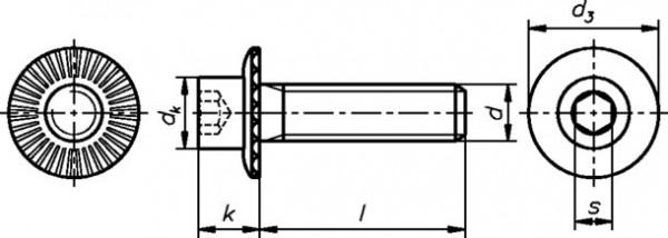 Dresselhaus Ripp-Schrauben mit Innensechskant Festigkeitsklasse 100 73181568 galv. verzinkt getemper